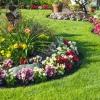 Annuals Annuals